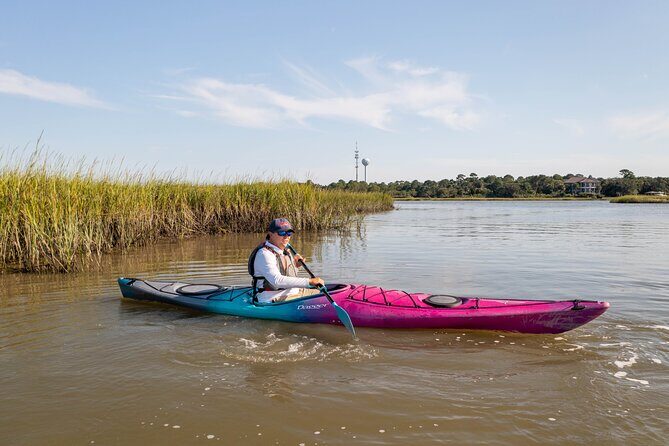 Dolphin Kayak Tour on Folly Beach - What Makes This Kayak Tour Stand Out?