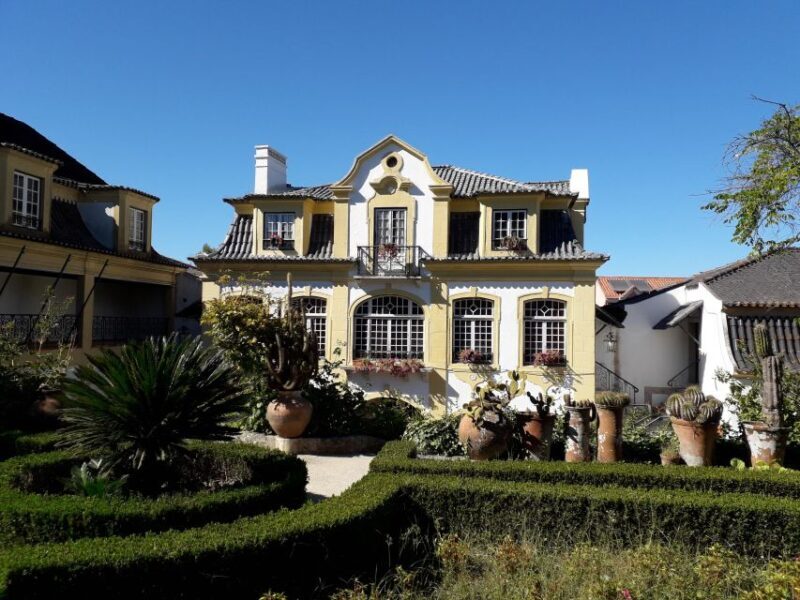 DOLPHIN LOVERS FULL DAY TOUR - Why This Tour Stands Out