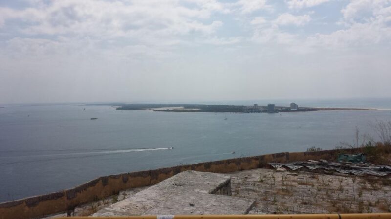 DOLPHIN LOVERS FULL DAY TOUR - The Overall Value and Who Will Enjoy It