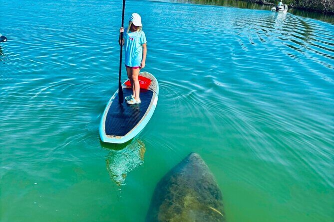 Dolphin, Manatee and Sea Turtle Adventure Tour of Bonita Springs - What the Experience Is Like