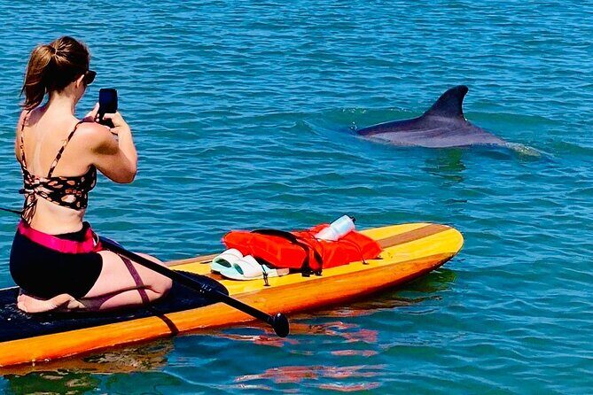 Dolphin, Manatee and Sea Turtle Kayak Adventure - Final thoughts