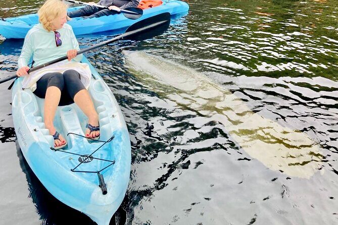 Dolphin, Manatee and SeaTurtle SUP Adventure Tour of St Augustine - Final Thoughts