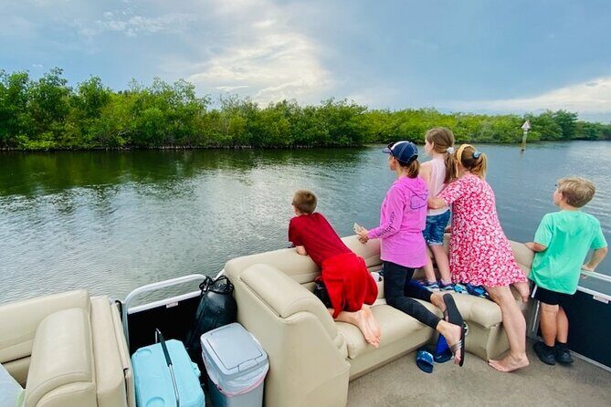 Dolphin/Manatee Pontoon Boat Tour with Local Expert - An Honest Look at the Experience