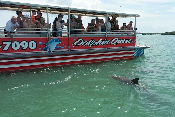 Dolphin Quest - Sightseeing/Eco Cruise, John's Pass, Madeira Beach, FL - Key Points