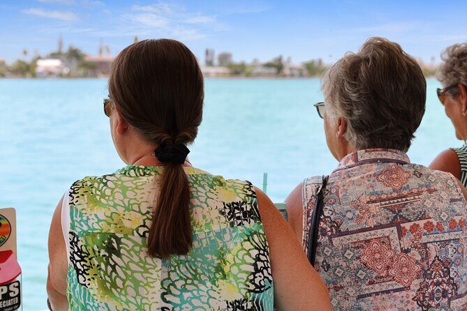 Dolphin Quest - Sightseeing/Eco Cruise, John's Pass, Madeira Beach, FL - Accessibility and Practicalities