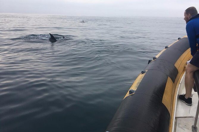 Dolphin Route - What to Expect from the Dolphin Route Tour