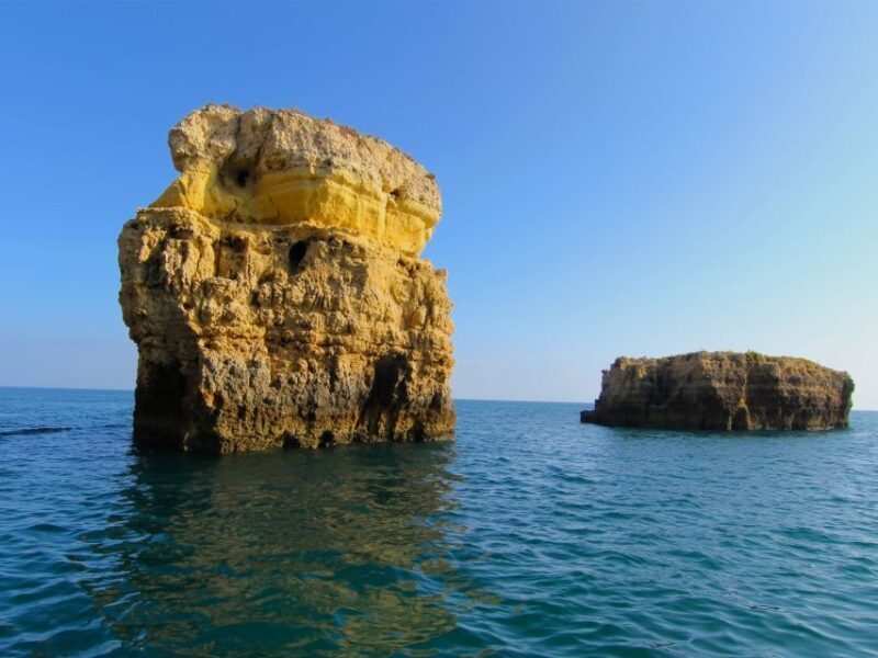 Dolphin Safari and Cave Tour in Vilamoura - Is This Tour Worth It?