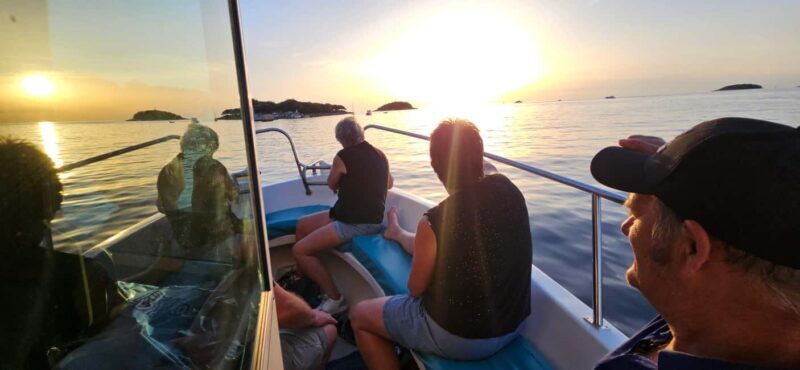 Dolphin Safari Boat Trip from Marina Funtana - Who Should Consider This Tour?