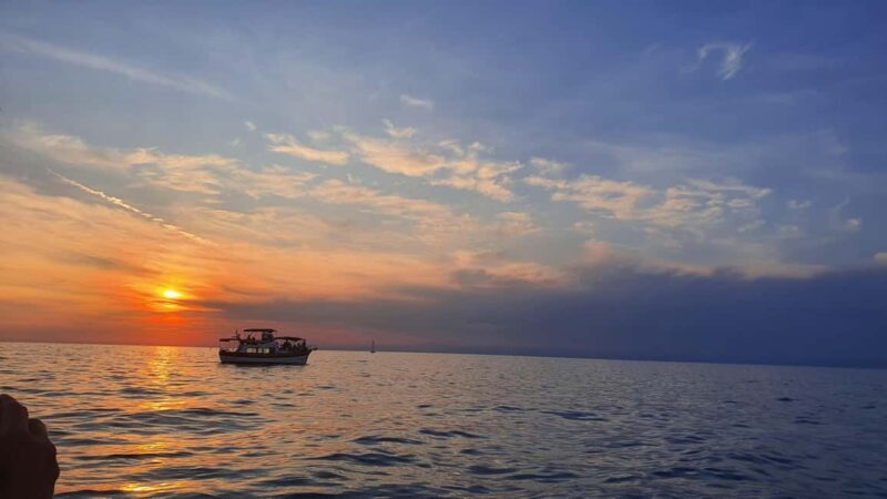 Dolphin safari every evening - Introducing the Dolphin Safari Experience in Istria