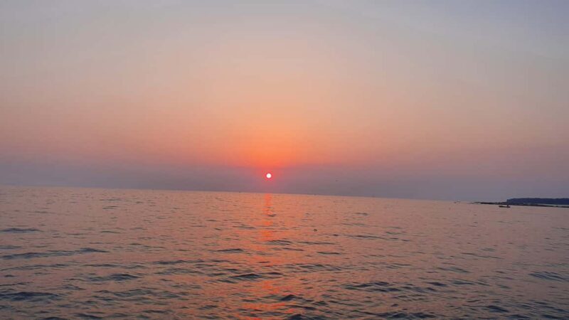 Dolphin safari every evening - Final Thoughts