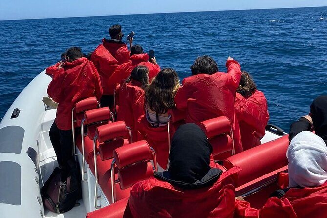 Dolphin Safari, São Rafael Caves & Coastline. - Frequently Asked Questions