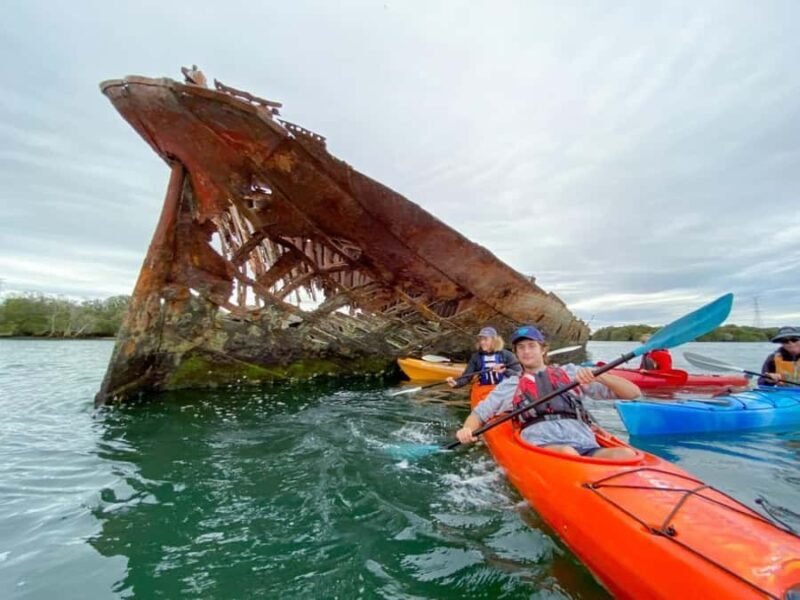 Dolphin Sanctuary and Ships Graveyard Kayak Tour - An In-Depth Look at the Kayak Tour Experience