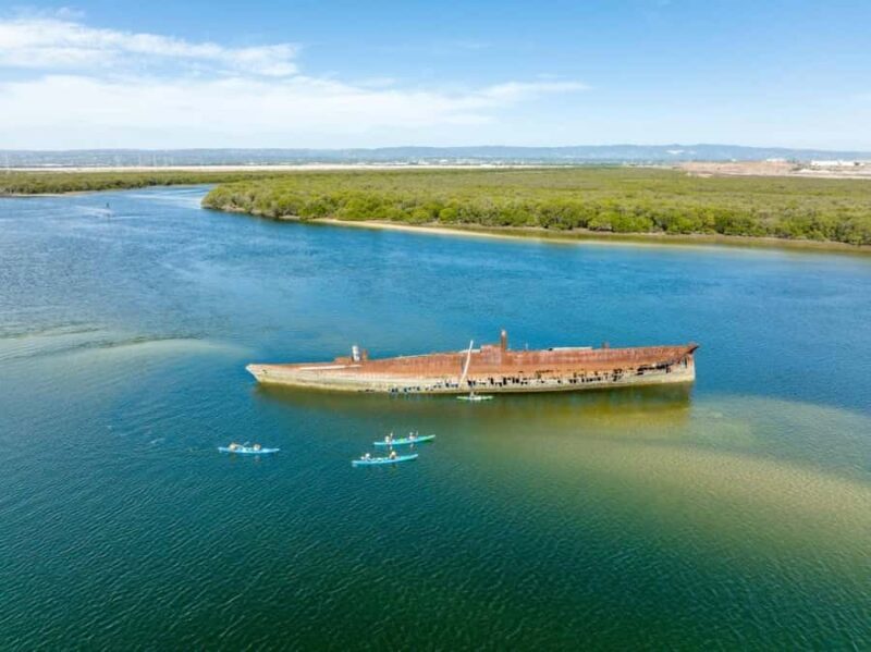 Dolphin Sanctuary and Ships Graveyard Kayak Tour - Final Thoughts