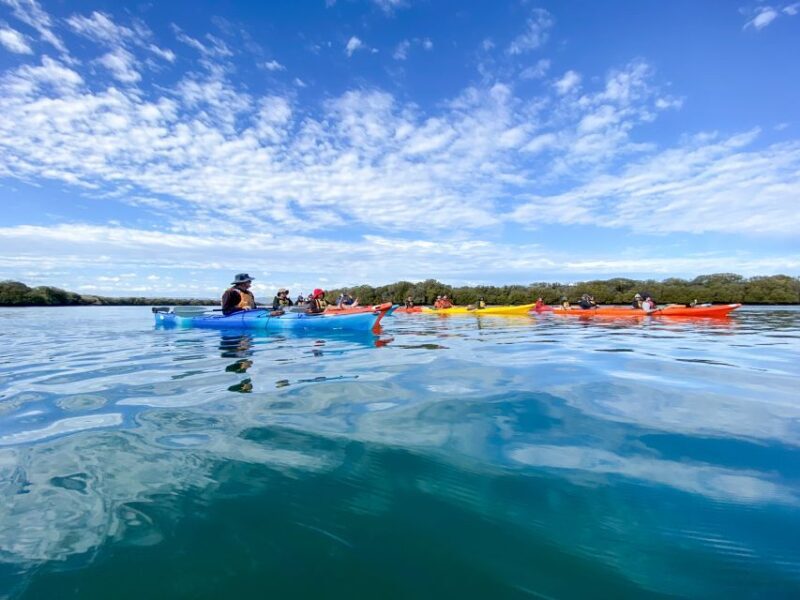Dolphin Sanctuary and Ships Graveyard Kayak Tour - FAQ