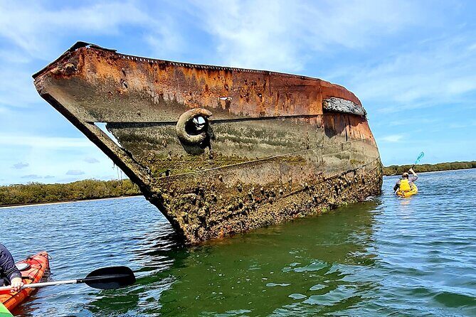 Dolphin Sanctuary Kayak Tour Adelaide - The Itinerary in Detail