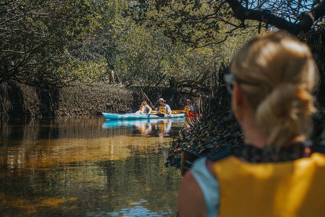 Dolphin Sanctuary Kayak Tour Adelaide - Who Will Love This Tour?