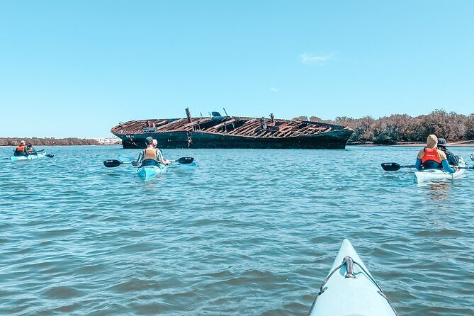 Dolphin Sanctuary Kayak Tour Adelaide - FAQs