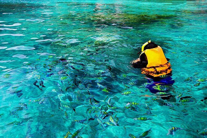 Dolphin, Sea Cave, Captain Cook, Kealakekua Bay Reef Snorkeling - FAQs