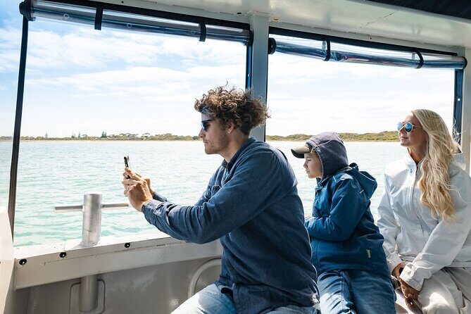 Dolphin, Sea Lion and Penguin Island Cruise - The Itinerary: What You Can Expect