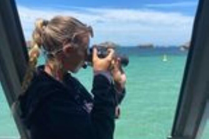 Dolphin, Sea Lion and Penguin Island Cruise - The Sum Up