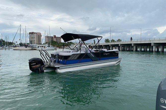 Dolphin Shelling Snorkeling Cruise in Tampa - The Itinerary Breakdown