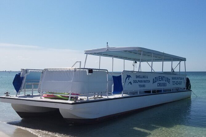 Dolphin /Shelling/Snorkeling tours Private Charters - Key Points