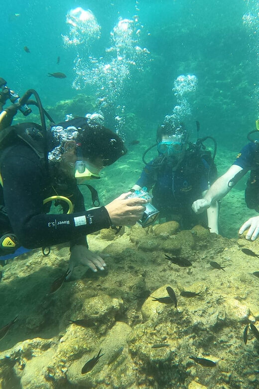 Dolphin Show Tour with Transfer from Alanya & Side - Who Will Enjoy This Tour?