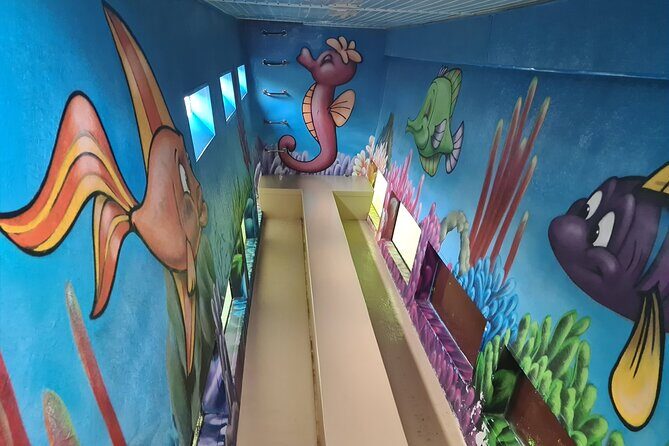 Dolphin Sightseeing Boat Tour from Benalmadena - Key Points