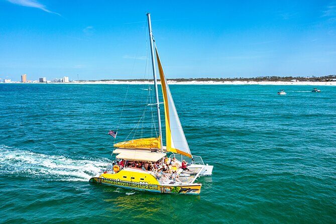 Dolphin Sightseeing Tour on The Footloose Catamaran from Panama City Beach - An In-Depth Look at the Dolphin Sightseeing Experience