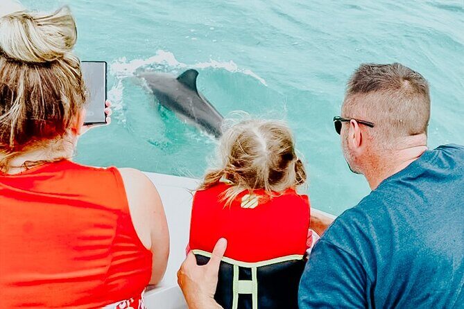 Dolphin & Snorkel - Final Thoughts