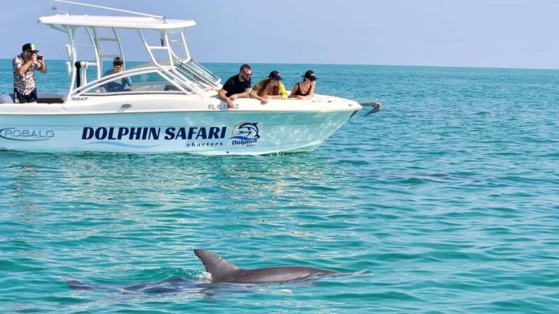 Dolphin & Snorkeling Key West - The Downsides and Considerations