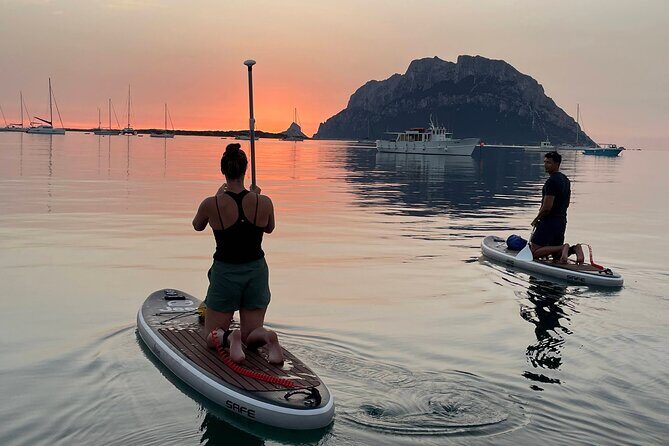 Dolphin-spotting SUP tour with Golfo Aranci aperitif - Key Points