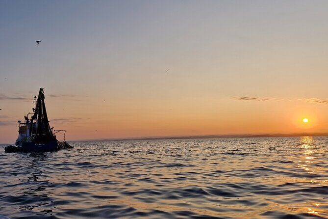 Dolphin Sunrise Adventure with Speedboat - FAQ