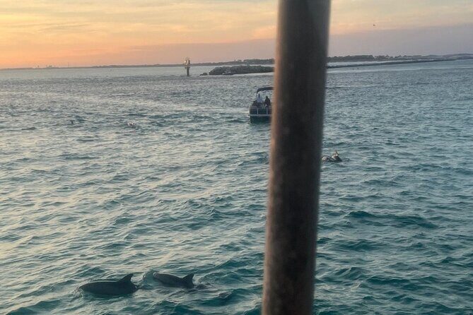 Dolphin & Sunset Cruises - Key Points