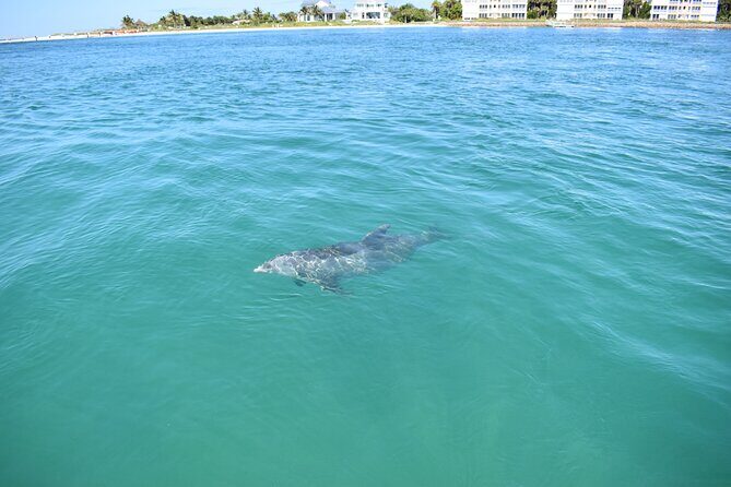 Dolphin Tiki Cruise around Fort Myers Beach - The Bottom Line
