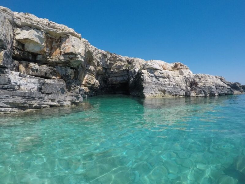 Dolphin Tour  85% chance - All inclusive Drinks + Dinner - Final Thoughts