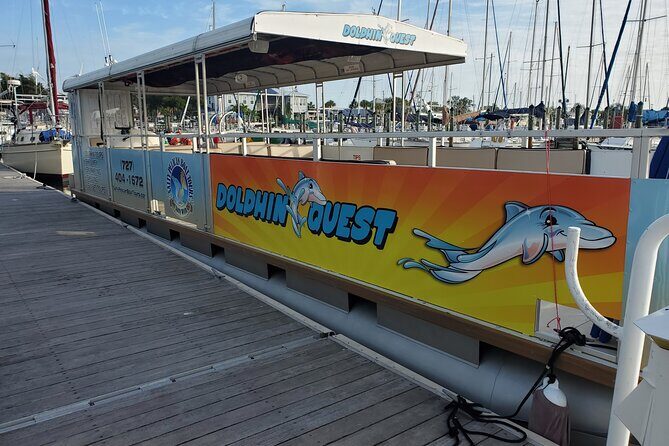 Dolphin Tour in St. Pete Beach - In Summary