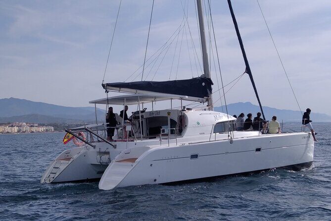 Dolphin trips on a catamaran - FAQs