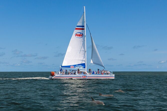 Dolphin Watch & Harbor Tour in Historical St. Augustine - Analyzing the Value and Experience