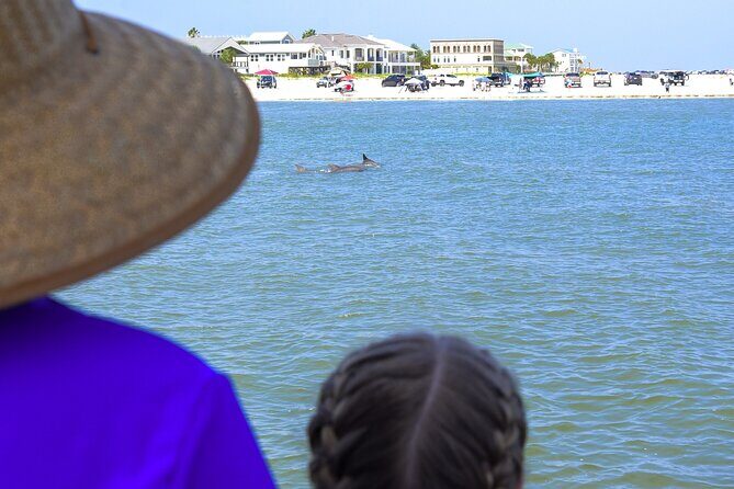 Dolphin Watch & Harbor Tour in Historical St. Augustine - The Sum Up