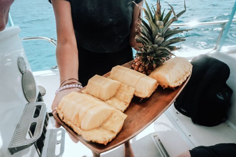 Dolphin Watch Snorkel and BBQ in Kona, Big Island - Key Points