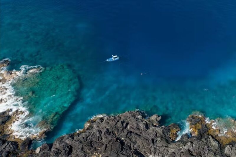 Dolphin Watch Snorkel and BBQ in Kona, Big Island - Ready to explore Kona’s waters? This tour might just be the break you need from busy beaches, giving you a chance to connect with Hawaii’s vibrant sea life in a relaxed setting.