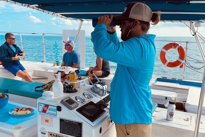 Dolphin Watch + Sunset Sail with Honest Eco - Price and Value: Is It Worth It?