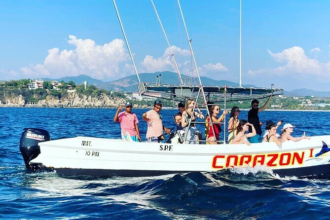 Dolphin Watching - FAQ