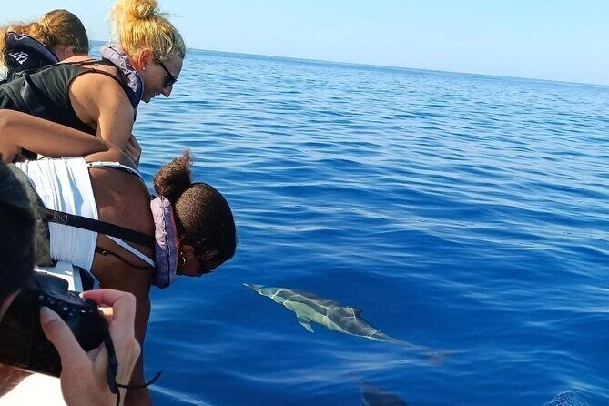 Dolphin Watching + 2 Islands Tour - From Faro - Frequently Asked Questions