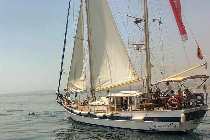 Dolphin Watching Adventure in Estepona Bay - Key Points