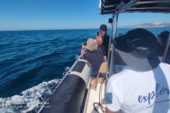 Dolphin Watching and Boat Tour in Sesimbra - Who Would Love This Tour?