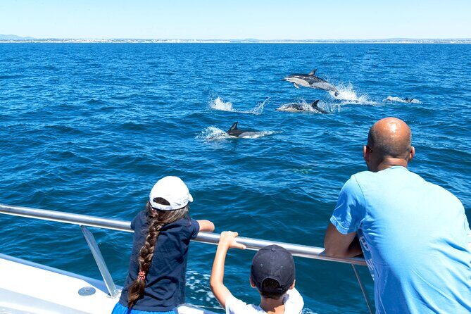 Dolphin Watching and Cave Boat Cruise from Albufeira - An In-Depth Look at the Itinerary