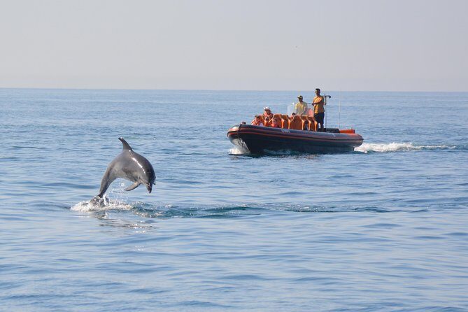 Dolphin Watching and Cave Tour from Vilamoura - What to Expect on the Dolphin Watching and Cave Tour from Vilamoura