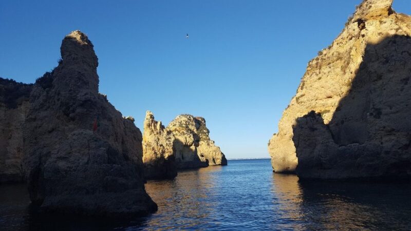 Dolphin Watching and Local Caves - The Price and Its Value